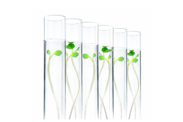 Responsabilidade Ecológica