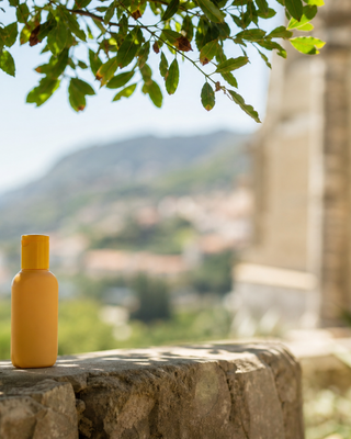 Best Products for Environmental Skin Damage: Repair, Shield, Recover Christina Cosmeceuticals
