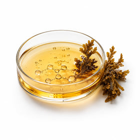 Marine C Thiopeptide