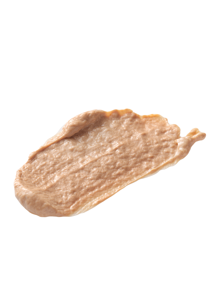 BioPhyto Ultimate Defense Tinted Day Cream SPF20