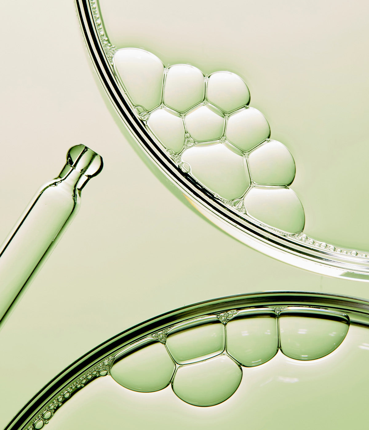 BioPhyto Zaatar Mask – Christina Cosmeceuticals