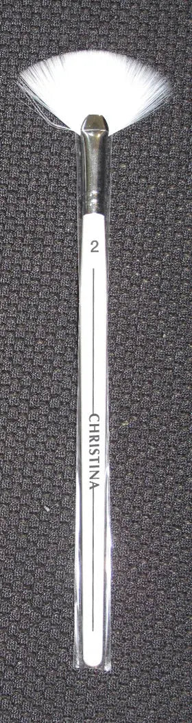 Christina Brush No 2 Pro clinic product