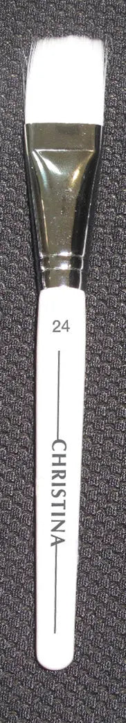 Christina Brush No 24 Pro clinic product